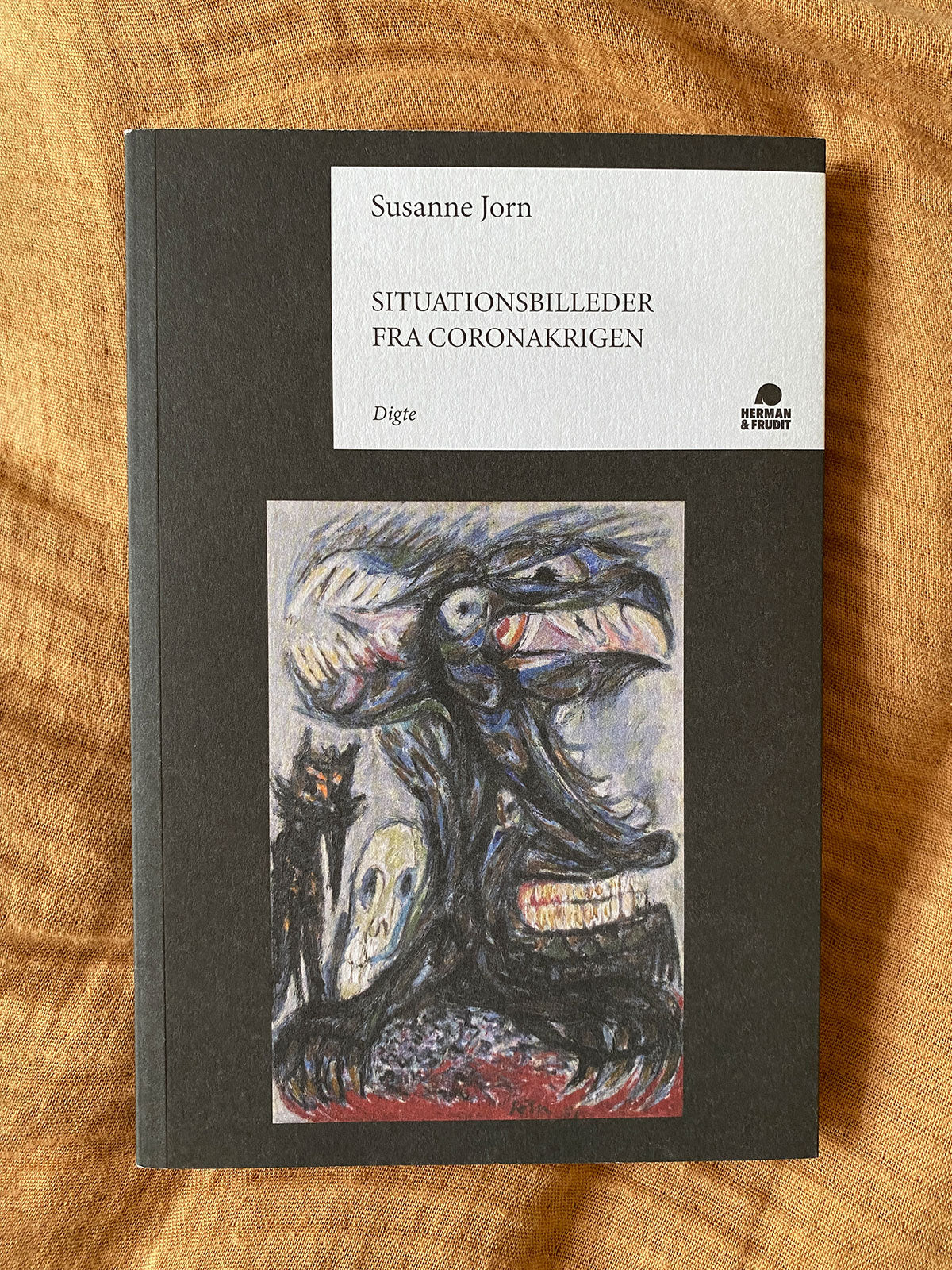 Situationsbilleder fra Coronakrigen