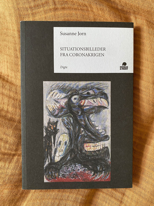 Situationsbilleder fra Coronakrigen