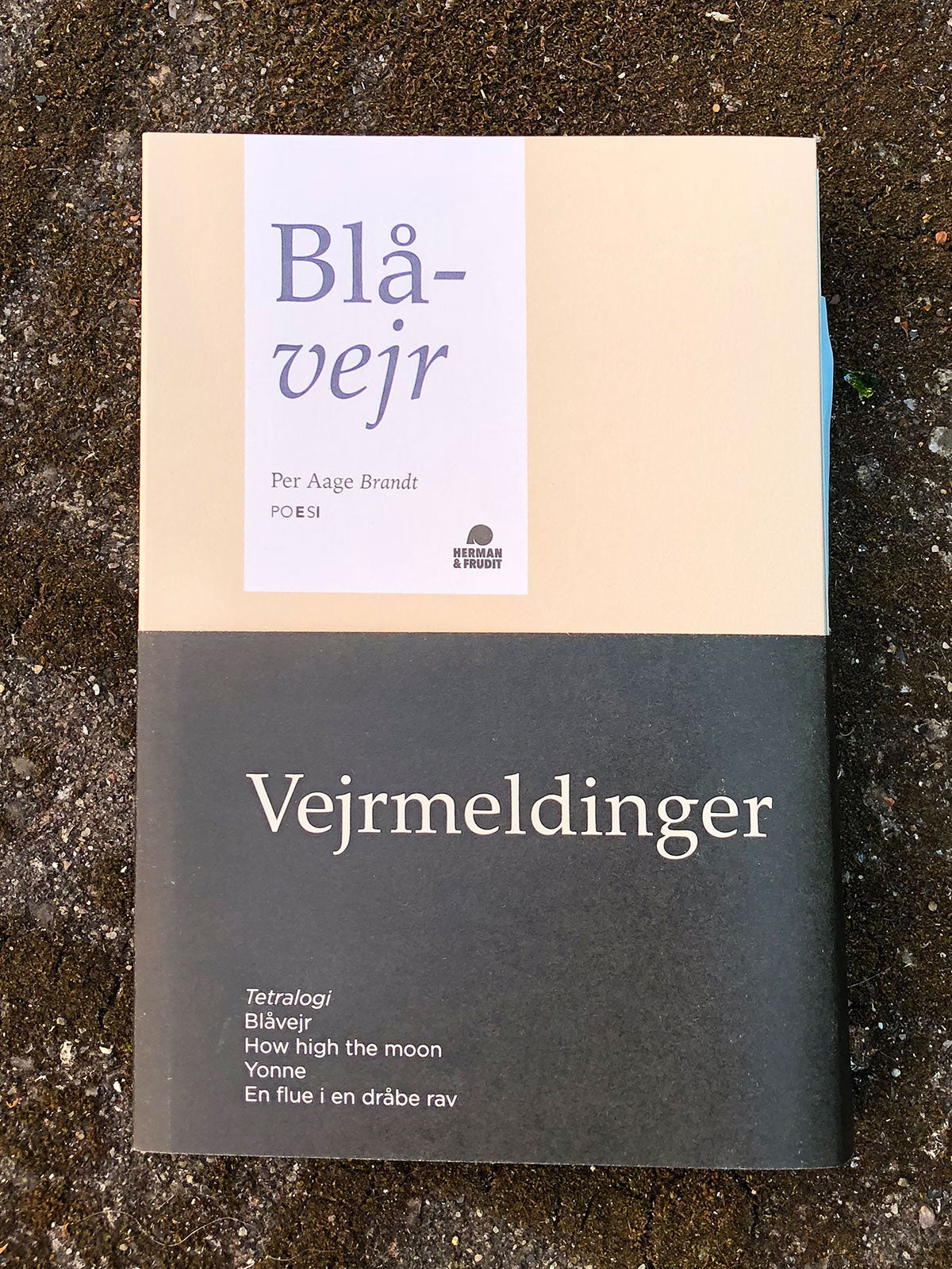 Vejrmeldinger