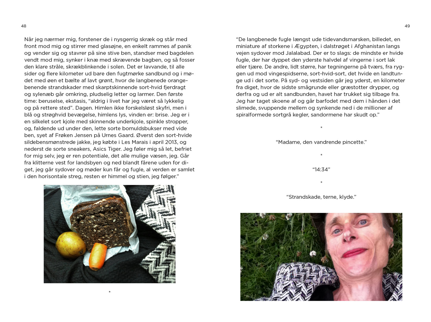 Alverdens-vandringerne
